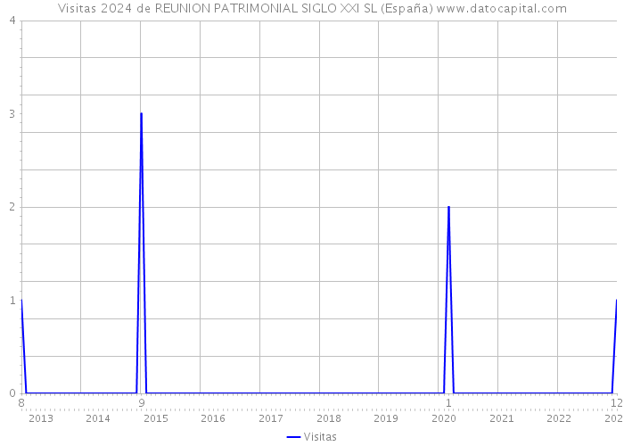 Visitas 2024 de REUNION PATRIMONIAL SIGLO XXI SL (España) 