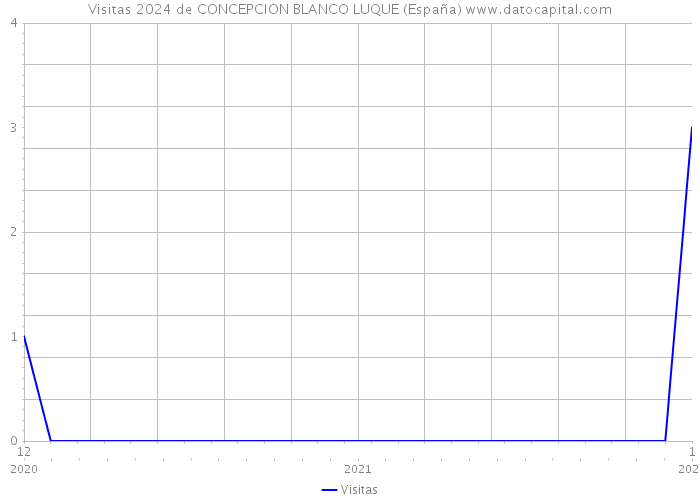 Visitas 2024 de CONCEPCION BLANCO LUQUE (España) 
