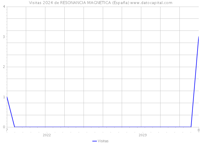 Visitas 2024 de RESONANCIA MAGNETICA (España) 