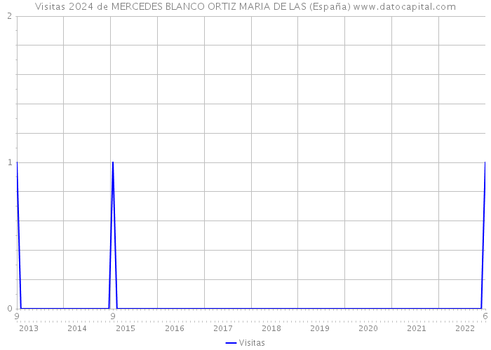 Visitas 2024 de MERCEDES BLANCO ORTIZ MARIA DE LAS (España) 