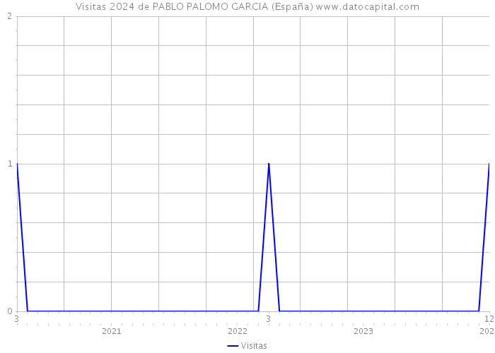 Visitas 2024 de PABLO PALOMO GARCIA (España) 