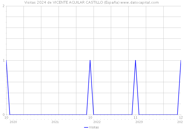 Visitas 2024 de VICENTE AGUILAR CASTILLO (España) 