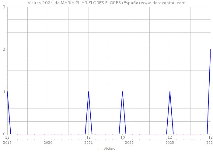 Visitas 2024 de MARIA PILAR FLORES FLORES (España) 
