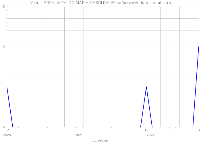 Visitas 2024 de ZALDO MARIA CASOLIVA (España) 