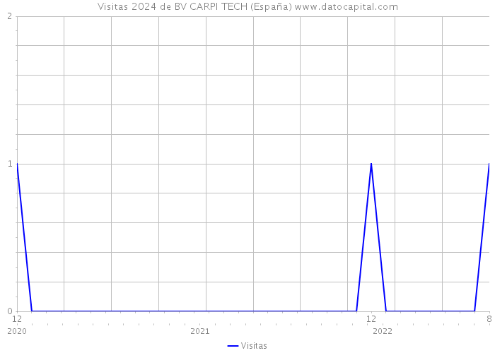 Visitas 2024 de BV CARPI TECH (España) 