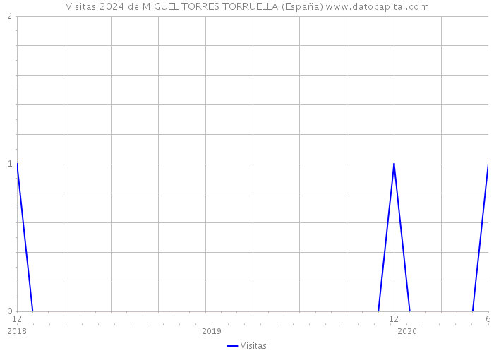 Visitas 2024 de MIGUEL TORRES TORRUELLA (España) 