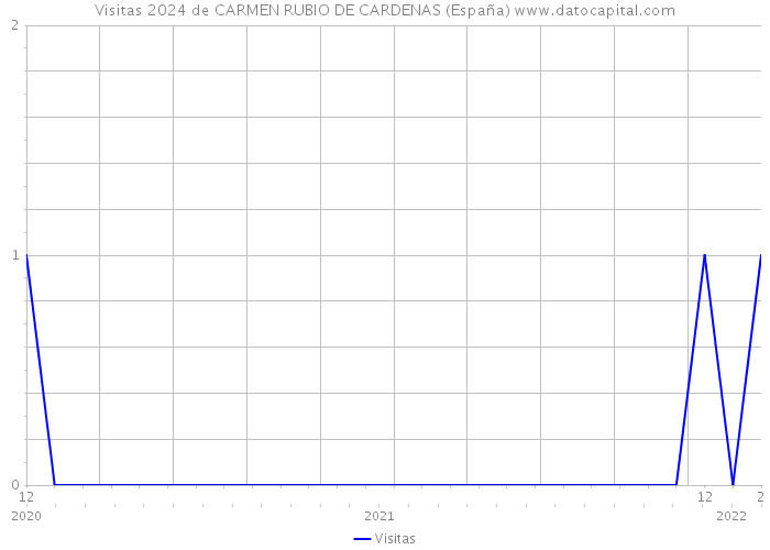 Visitas 2024 de CARMEN RUBIO DE CARDENAS (España) 