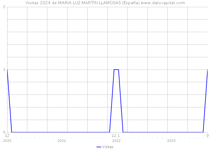 Visitas 2024 de MARIA LUZ MARTIN LLAMOSAS (España) 