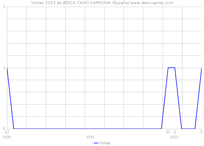 Visitas 2024 de JESICA CANO CARMONA (España) 