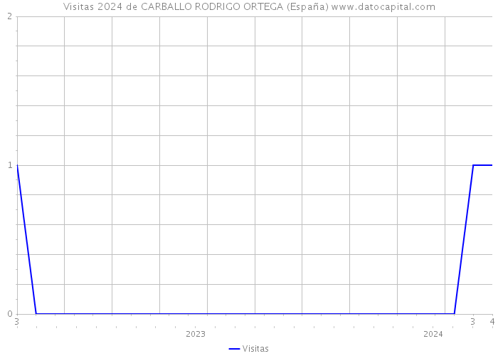 Visitas 2024 de CARBALLO RODRIGO ORTEGA (España) 
