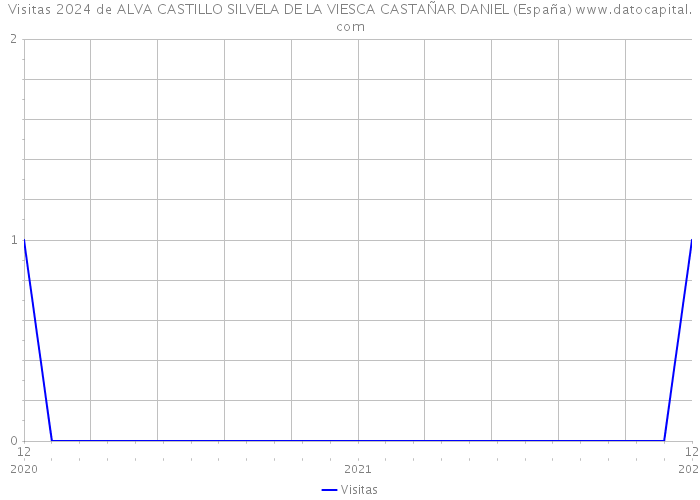 Visitas 2024 de ALVA CASTILLO SILVELA DE LA VIESCA CASTAÑAR DANIEL (España) 