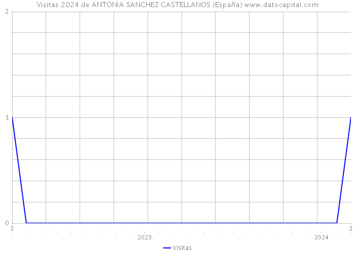 Visitas 2024 de ANTONIA SANCHEZ CASTELLANOS (España) 
