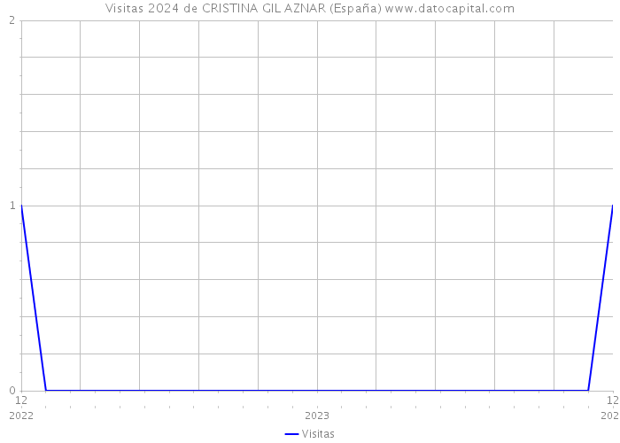 Visitas 2024 de CRISTINA GIL AZNAR (España) 