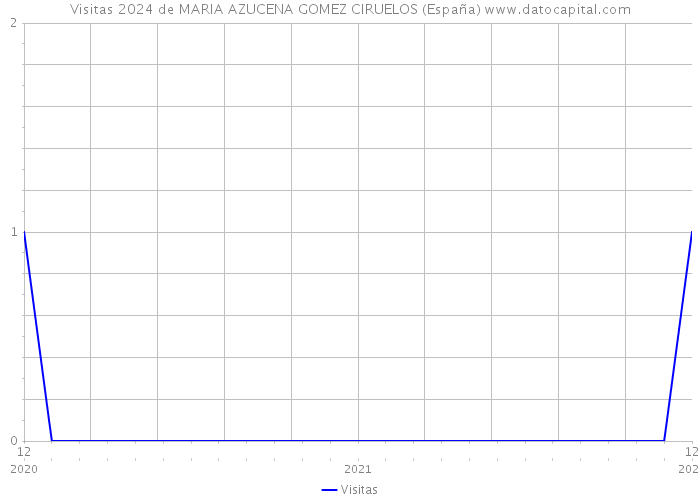 Visitas 2024 de MARIA AZUCENA GOMEZ CIRUELOS (España) 