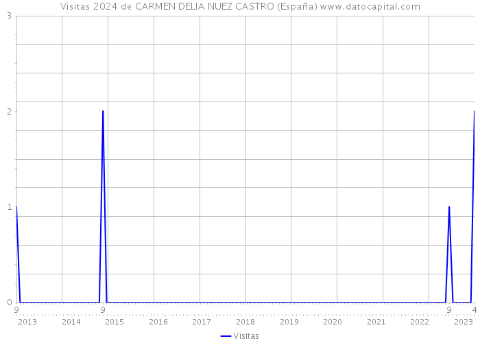 Visitas 2024 de CARMEN DELIA NUEZ CASTRO (España) 