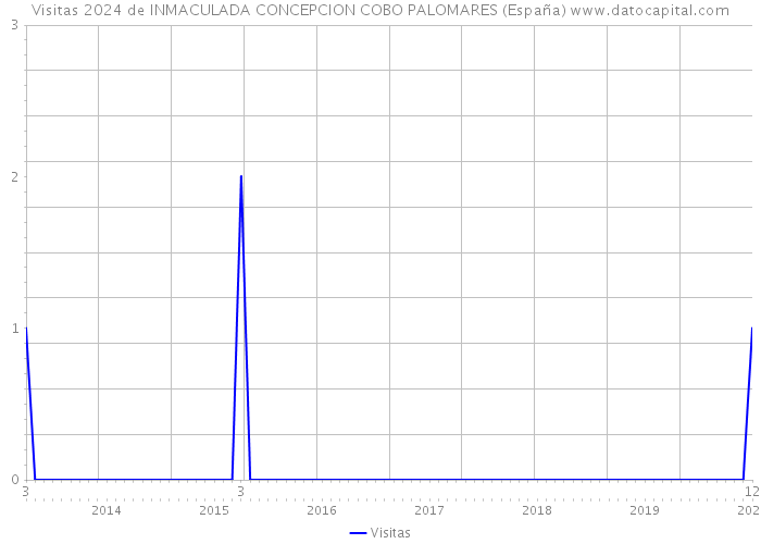 Visitas 2024 de INMACULADA CONCEPCION COBO PALOMARES (España) 
