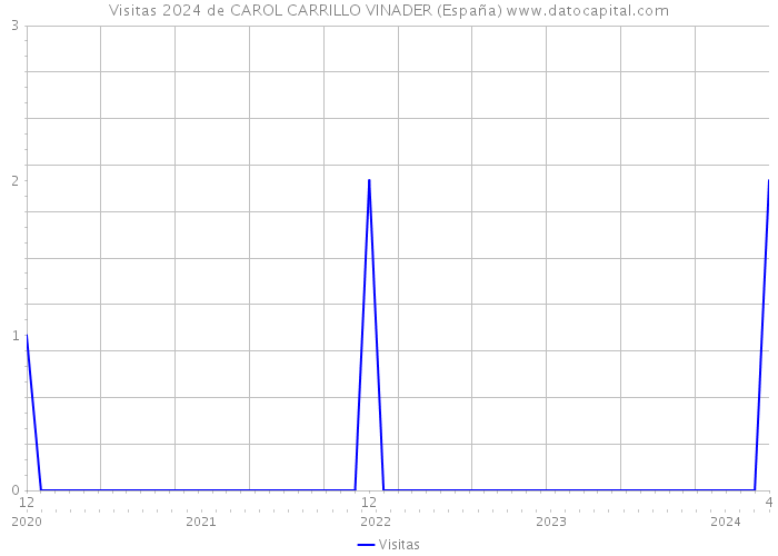 Visitas 2024 de CAROL CARRILLO VINADER (España) 