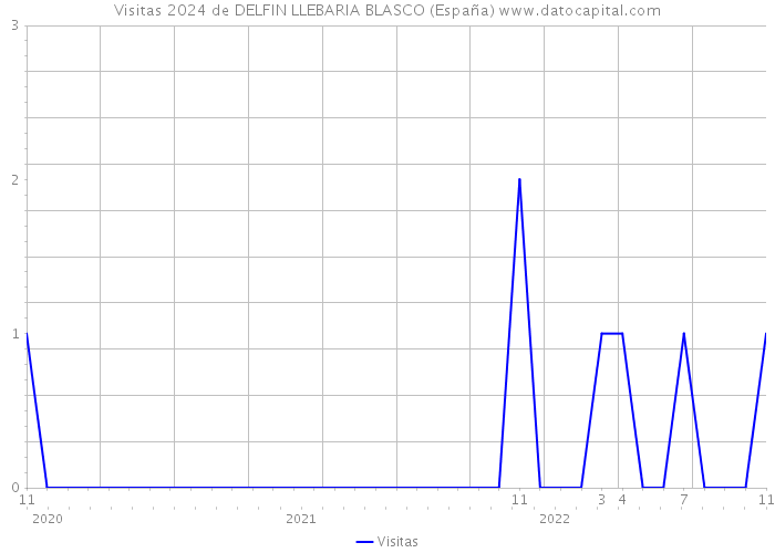 Visitas 2024 de DELFIN LLEBARIA BLASCO (España) 