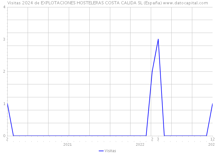 Visitas 2024 de EXPLOTACIONES HOSTELERAS COSTA CALIDA SL (España) 