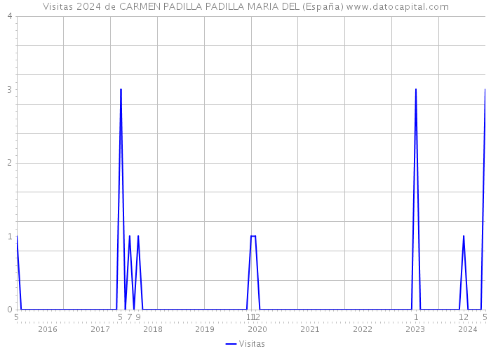 Visitas 2024 de CARMEN PADILLA PADILLA MARIA DEL (España) 