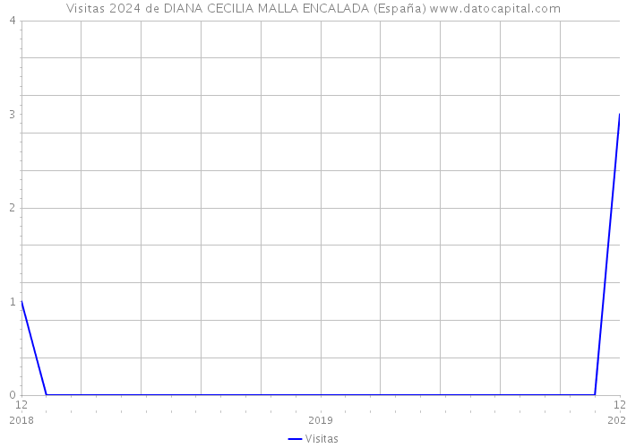 Visitas 2024 de DIANA CECILIA MALLA ENCALADA (España) 
