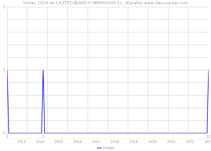Visitas 2024 de CASTRO BLANCO HERMANOS S.L. (España) 