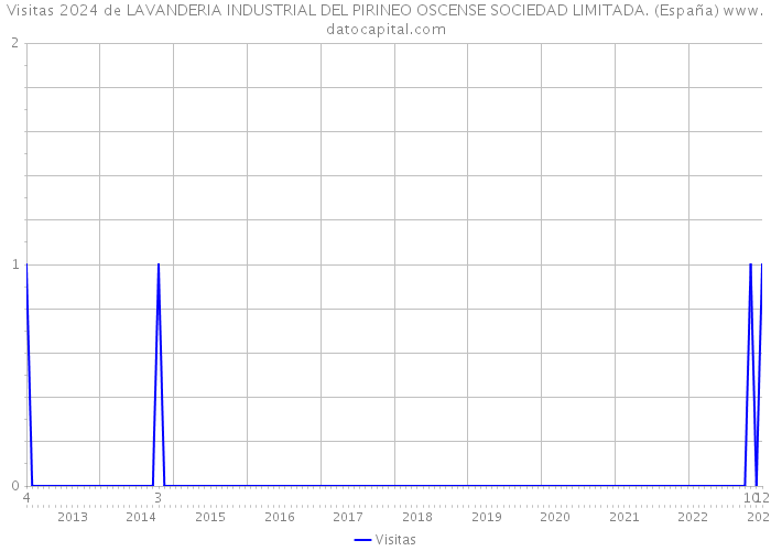 Visitas 2024 de LAVANDERIA INDUSTRIAL DEL PIRINEO OSCENSE SOCIEDAD LIMITADA. (España) 