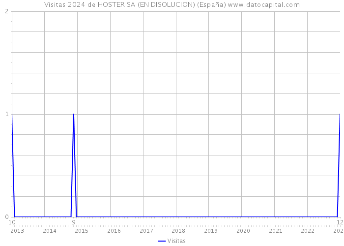 Visitas 2024 de HOSTER SA (EN DISOLUCION) (España) 