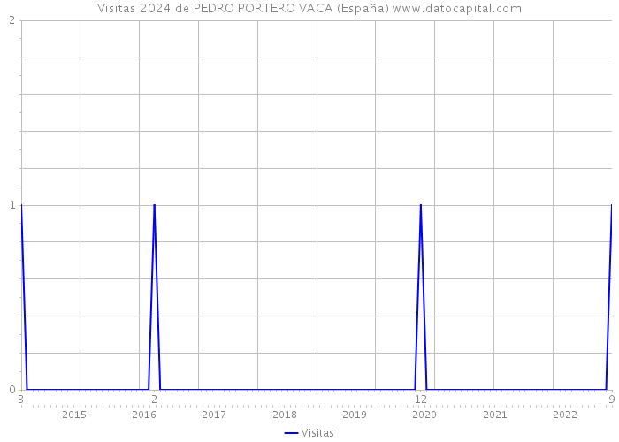 Visitas 2024 de PEDRO PORTERO VACA (España) 