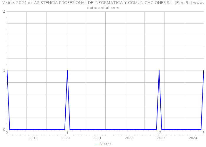 Visitas 2024 de ASISTENCIA PROFESIONAL DE INFORMATICA Y COMUNICACIONES S.L. (España) 