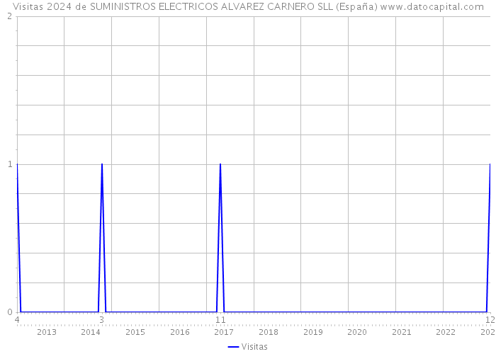 Visitas 2024 de SUMINISTROS ELECTRICOS ALVAREZ CARNERO SLL (España) 