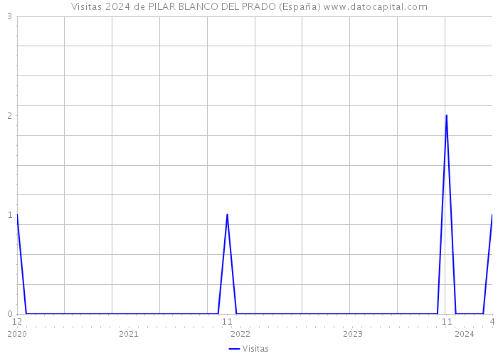 Visitas 2024 de PILAR BLANCO DEL PRADO (España) 