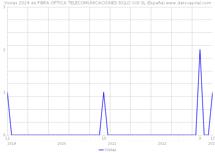 Visitas 2024 de FIBRA OPTICA TELECOMUNICACIONES SIGLO XXII SL (España) 