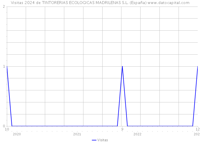 Visitas 2024 de TINTORERIAS ECOLOGICAS MADRILENAS S.L. (España) 