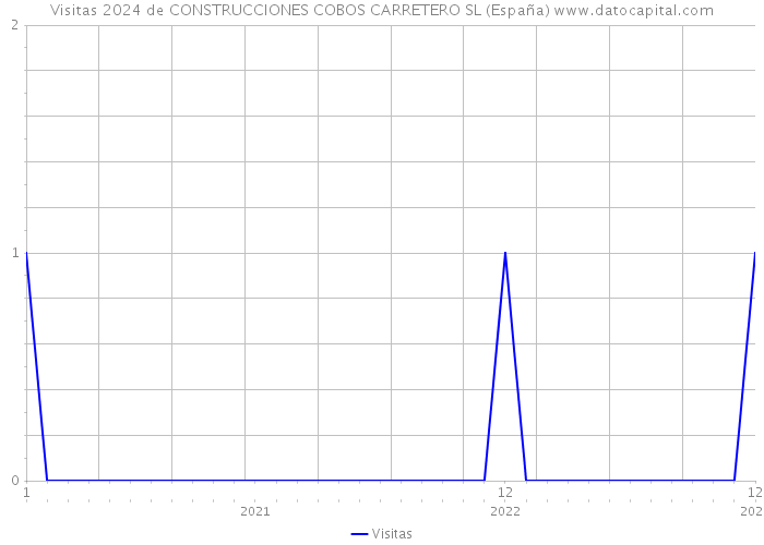 Visitas 2024 de CONSTRUCCIONES COBOS CARRETERO SL (España) 