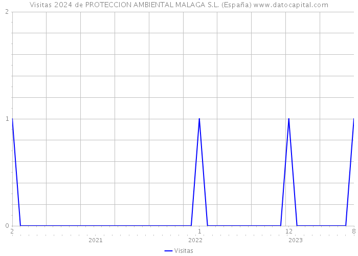 Visitas 2024 de PROTECCION AMBIENTAL MALAGA S.L. (España) 