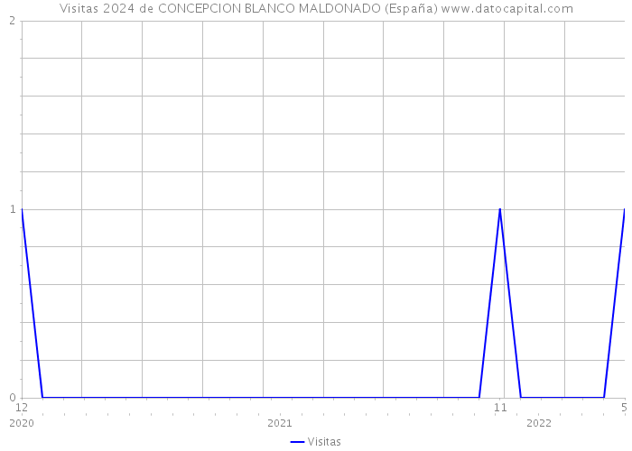 Visitas 2024 de CONCEPCION BLANCO MALDONADO (España) 