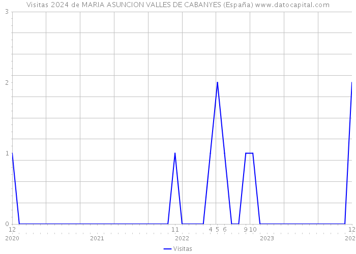 Visitas 2024 de MARIA ASUNCION VALLES DE CABANYES (España) 