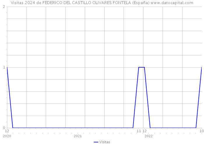 Visitas 2024 de FEDERICO DEL CASTILLO OLIVARES FONTELA (España) 