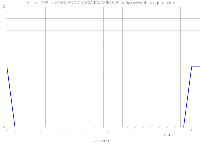 Visitas 2024 de RICARDO GARCIA PALACIOS (España) 