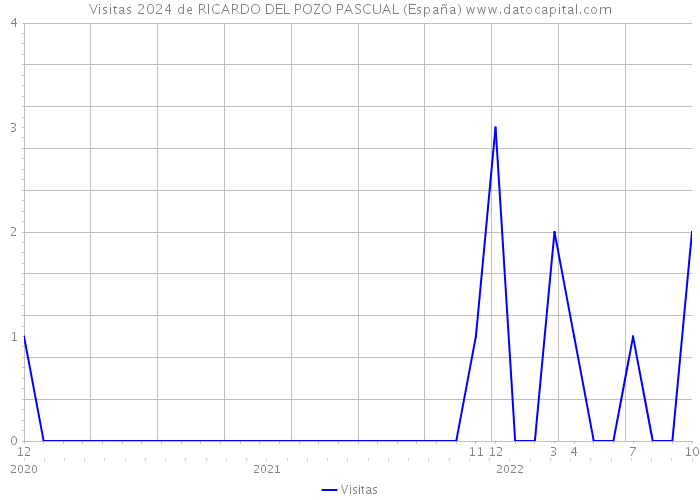Visitas 2024 de RICARDO DEL POZO PASCUAL (España) 