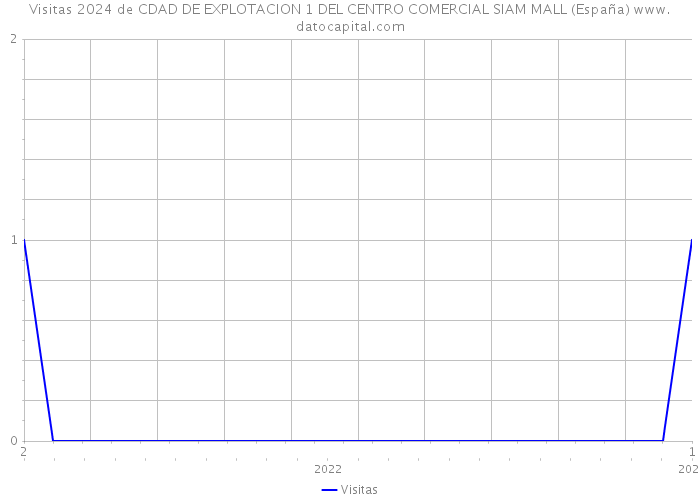 Visitas 2024 de CDAD DE EXPLOTACION 1 DEL CENTRO COMERCIAL SIAM MALL (España) 