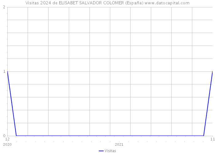 Visitas 2024 de ELISABET SALVADOR COLOMER (España) 