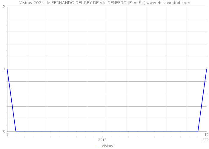 Visitas 2024 de FERNANDO DEL REY DE VALDENEBRO (España) 