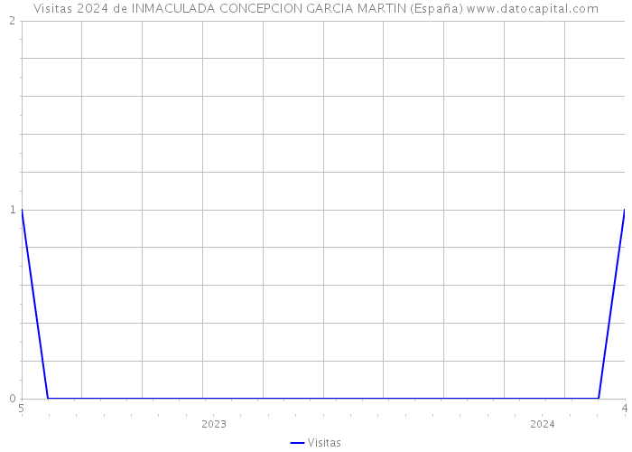 Visitas 2024 de INMACULADA CONCEPCION GARCIA MARTIN (España) 