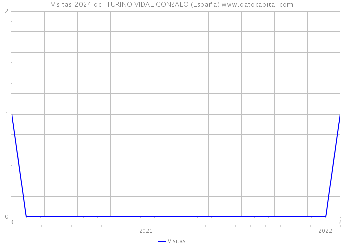 Visitas 2024 de ITURINO VIDAL GONZALO (España) 
