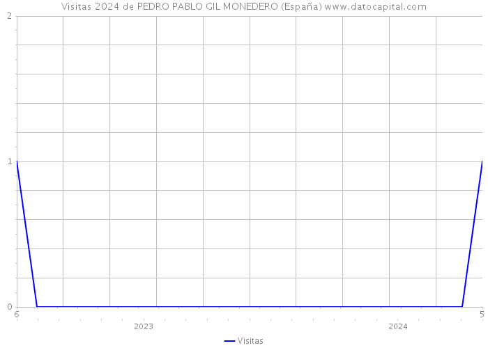 Visitas 2024 de PEDRO PABLO GIL MONEDERO (España) 