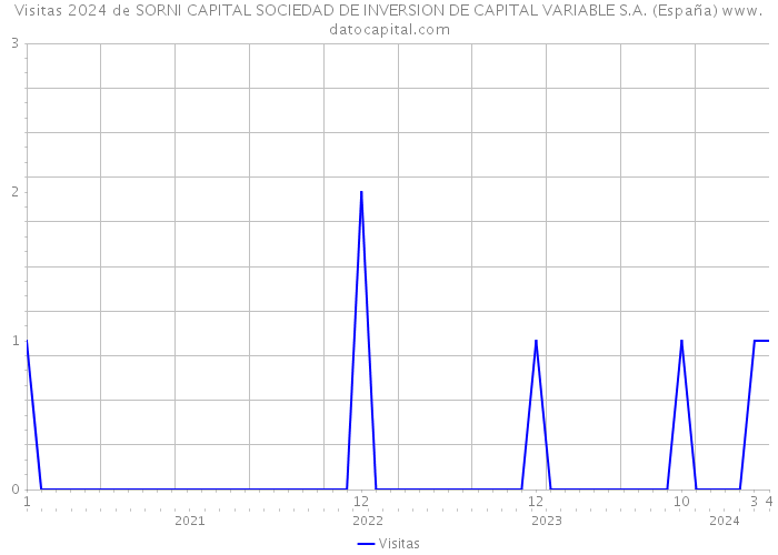 Visitas 2024 de SORNI CAPITAL SOCIEDAD DE INVERSION DE CAPITAL VARIABLE S.A. (España) 
