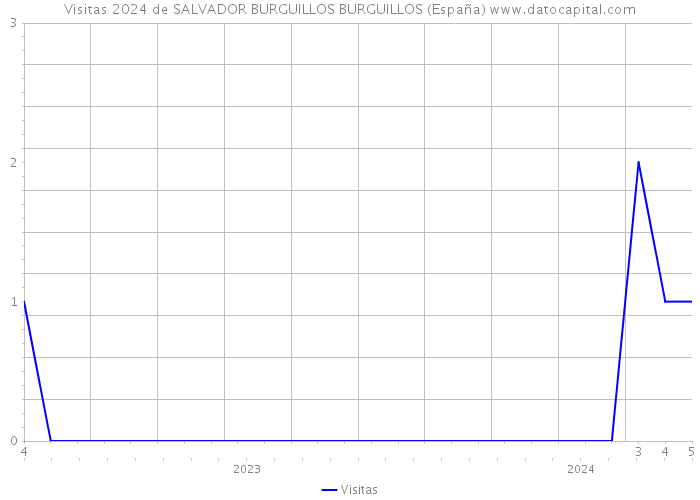 Visitas 2024 de SALVADOR BURGUILLOS BURGUILLOS (España) 