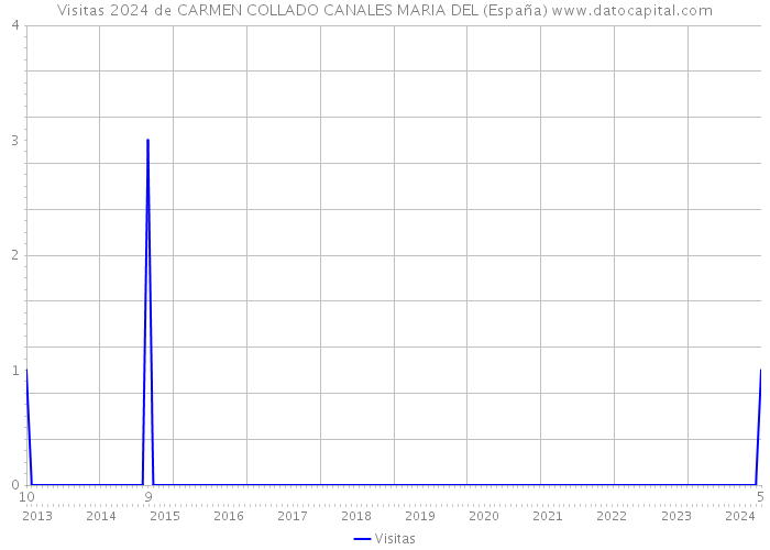 Visitas 2024 de CARMEN COLLADO CANALES MARIA DEL (España) 